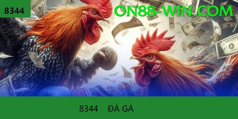 Đá Gà Trực Tiếp - Ưu đãi đặc biệt